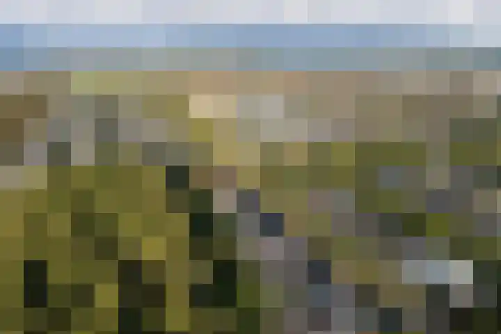 Vlechtknoop 6 Almere thumbnail 77