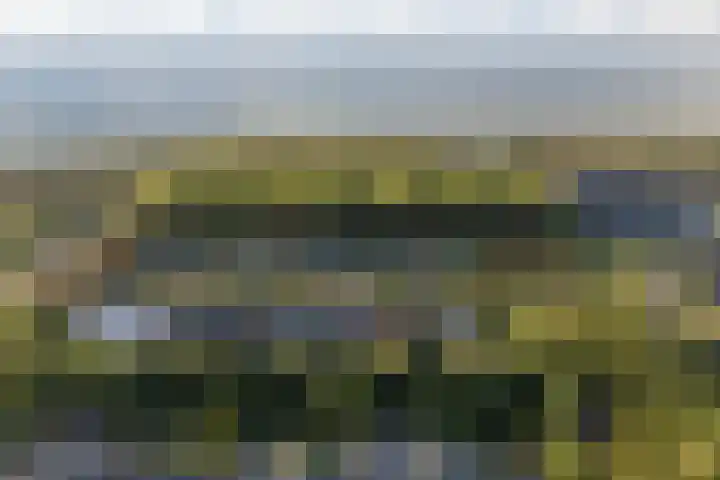 Vlechtknoop 6 Almere thumbnail 78