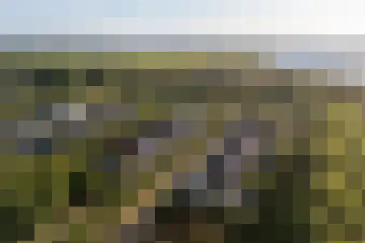 Vlechtknoop 6 Almere thumbnail 79