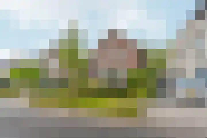 Vlechtknoop 6 Almere thumbnail 80