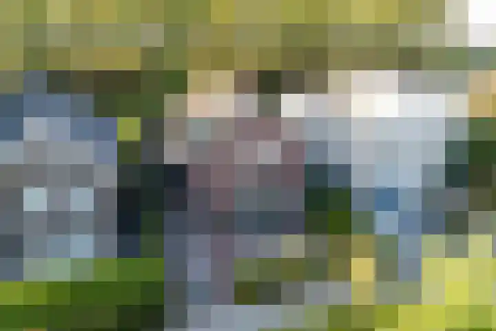 Vlechtknoop 6 Almere thumbnail 81