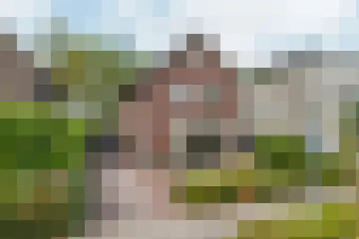 Vlechtknoop 6 Almere thumbnail 82