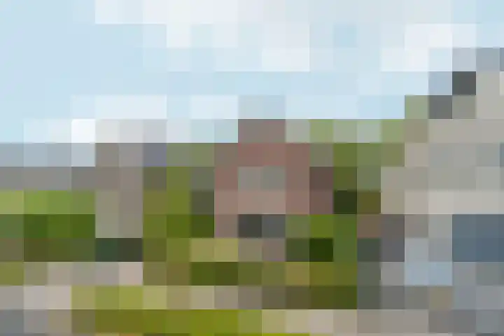 Vlechtknoop 6 Almere thumbnail 9