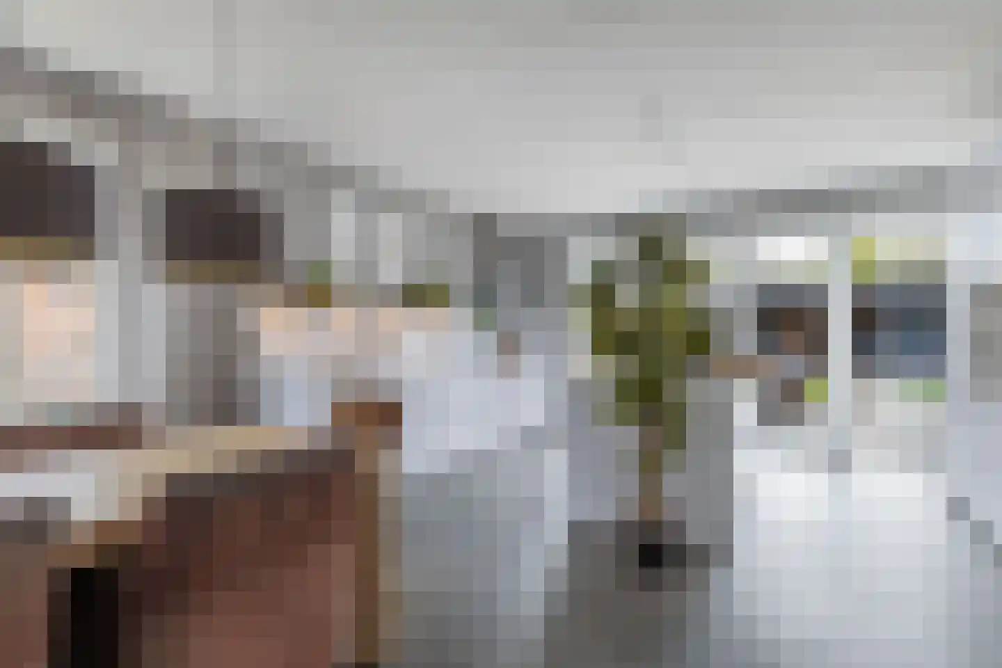 Vlechtplantsoen 13 Noordwolde thumbnail 14