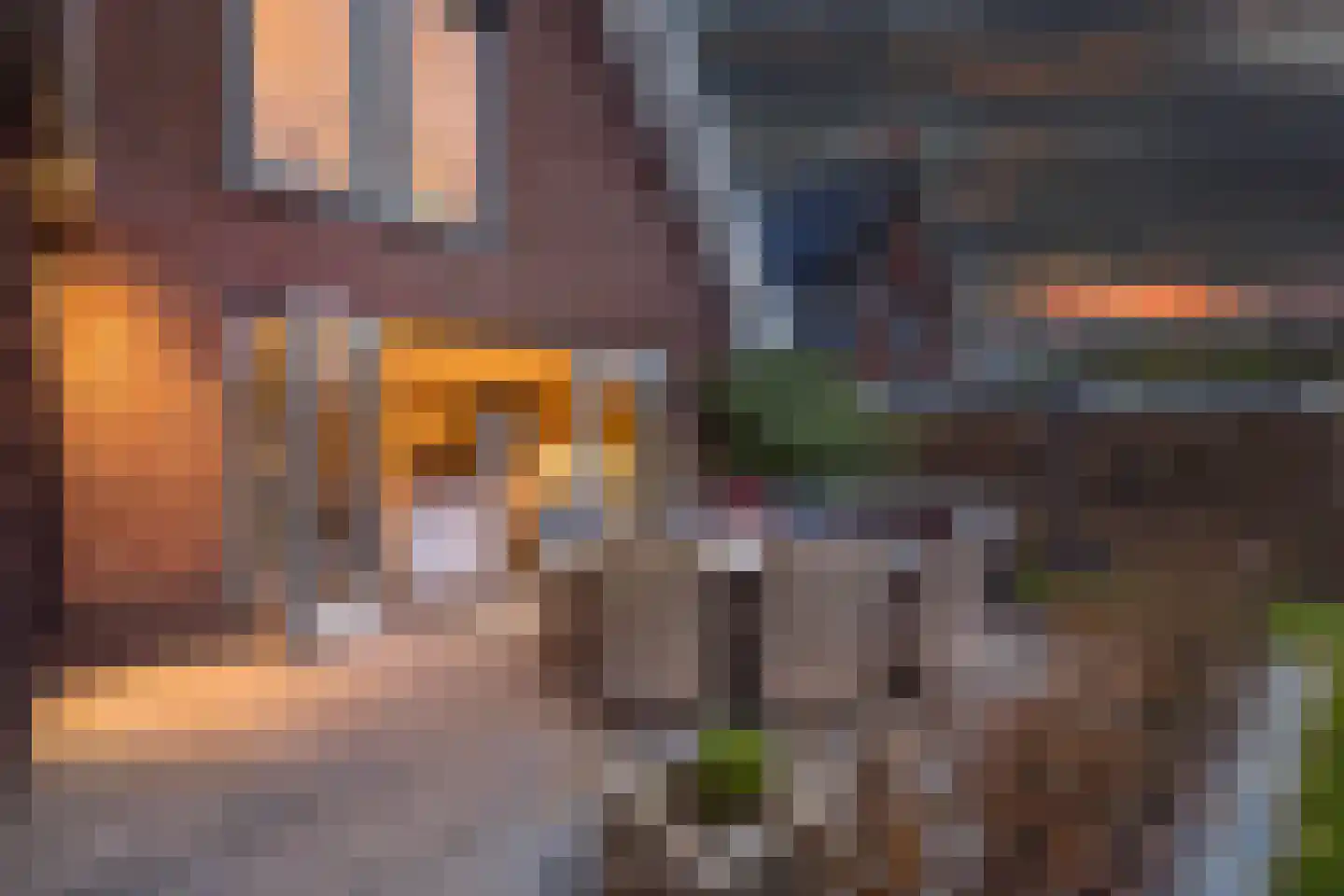 Vlechtplantsoen 13 Noordwolde thumbnail 41