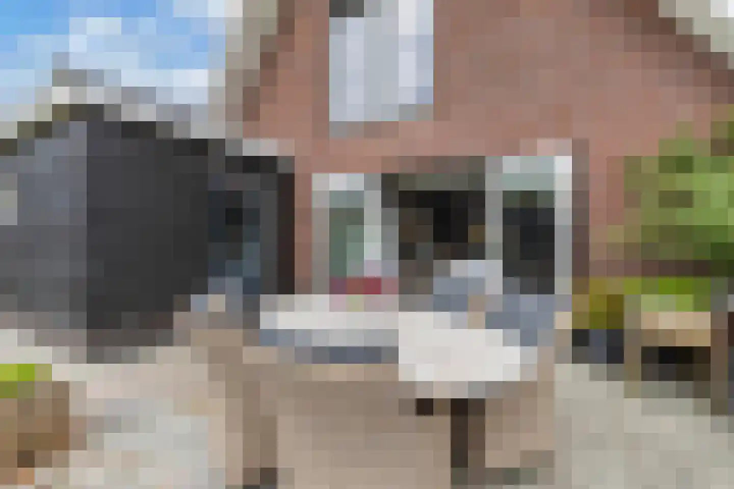 Vlechtplantsoen 13 Noordwolde thumbnail 42