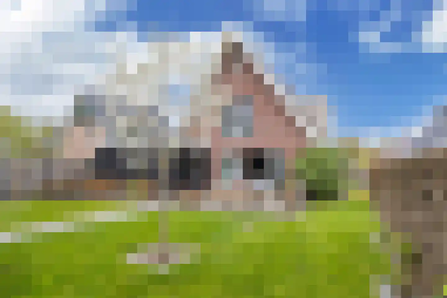 Vlechtplantsoen 13 Noordwolde thumbnail 51