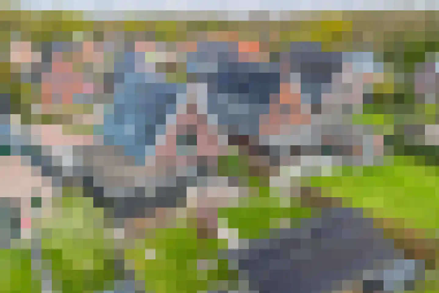 Vlechtplantsoen 13 Noordwolde thumbnail 52