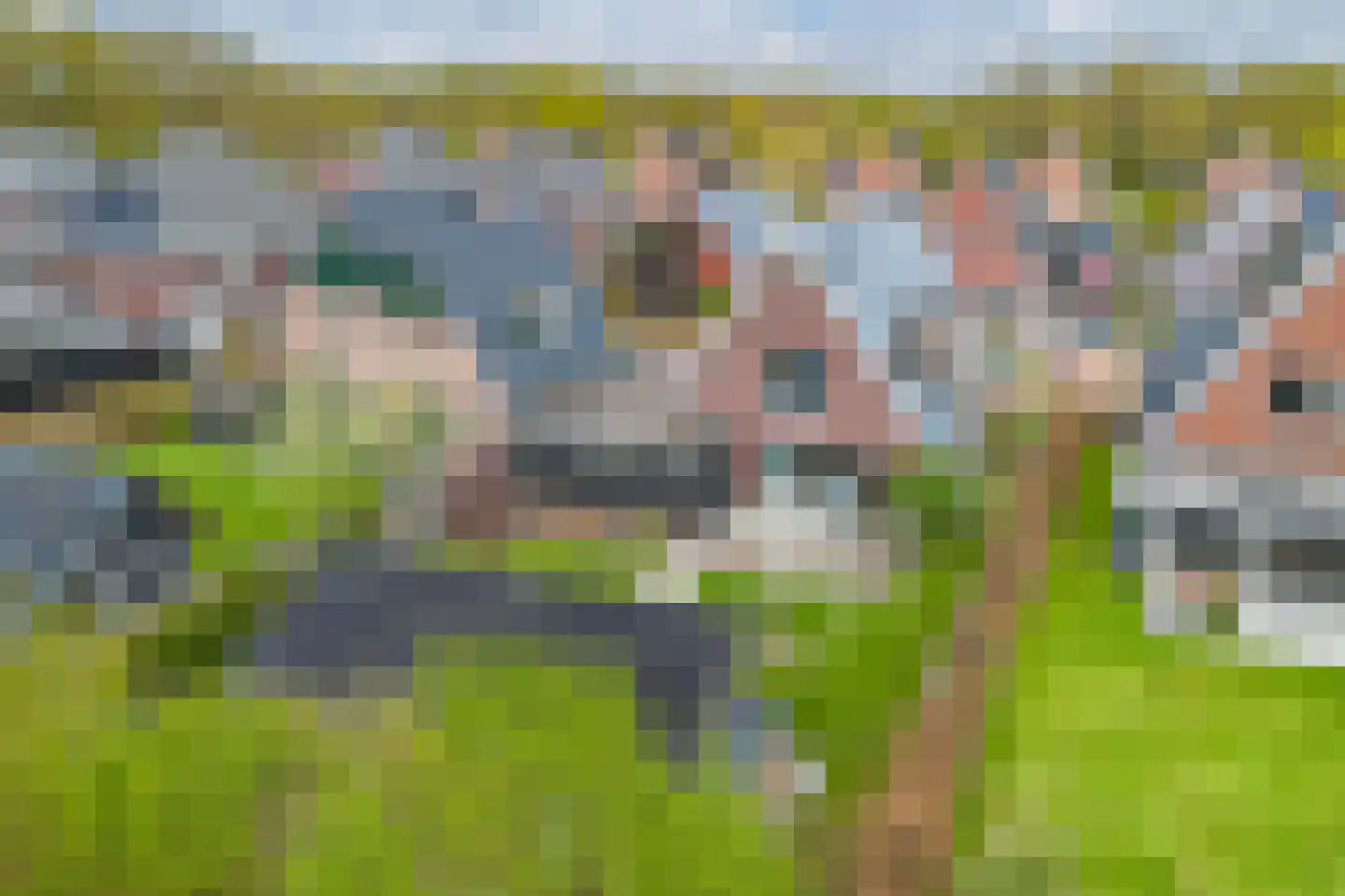 Vlechtplantsoen 13 Noordwolde thumbnail 53