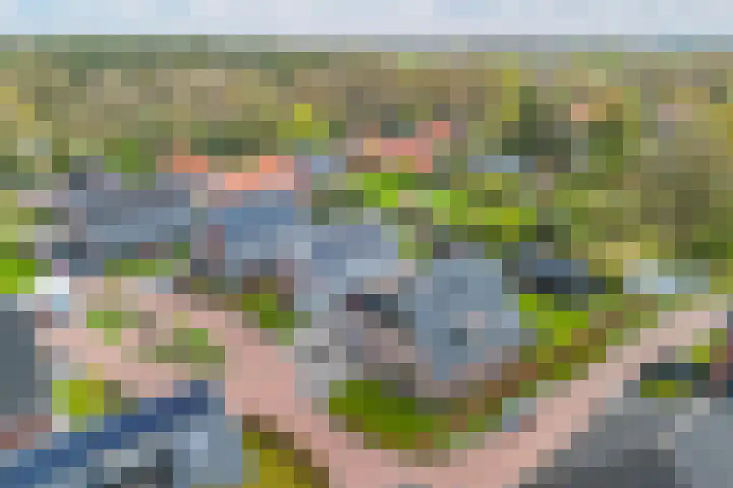 Vlechtplantsoen 13 Noordwolde thumbnail 69