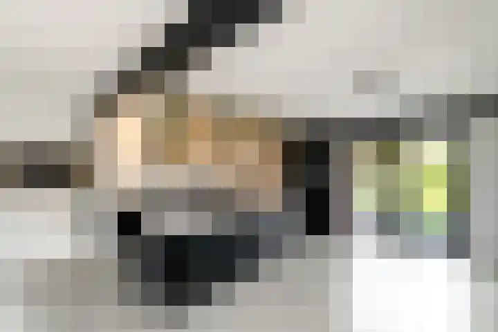Vlechtplantsoen 7 Noordwolde thumbnail 12