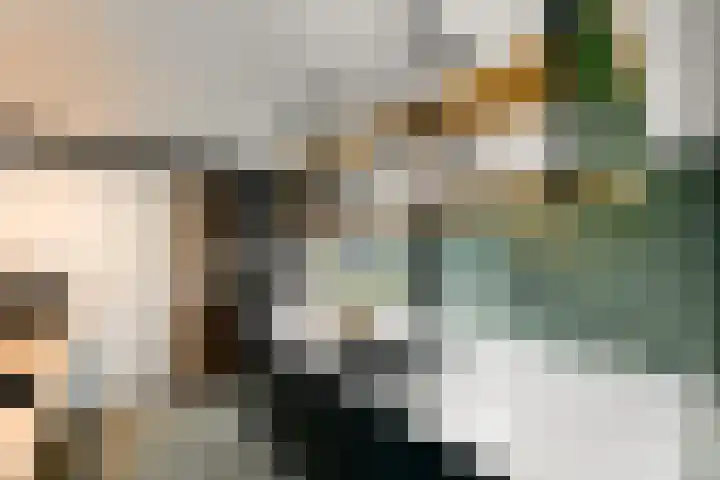 Vlechtplantsoen 7 Noordwolde thumbnail 17