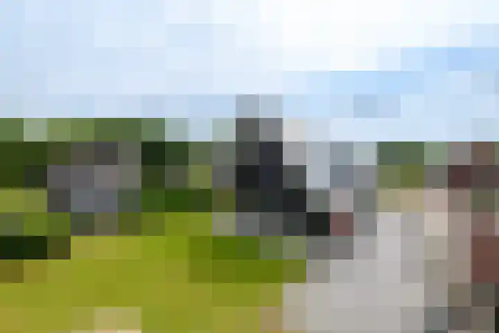 Vlechtplantsoen 7 Noordwolde thumbnail 48