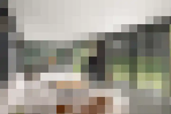 Vlechtplantsoen 7 Noordwolde thumbnail 5
