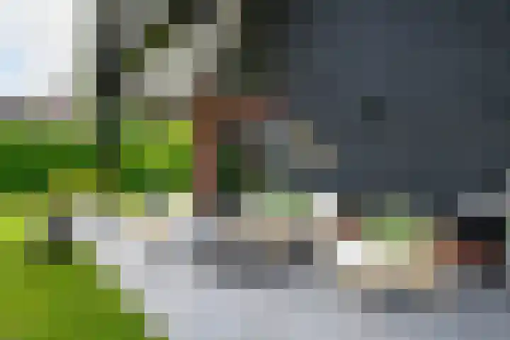Vlechtplantsoen 7 Noordwolde thumbnail 50