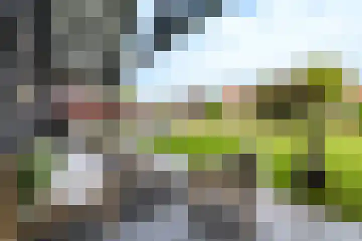 Vlechtplantsoen 7 Noordwolde thumbnail 51