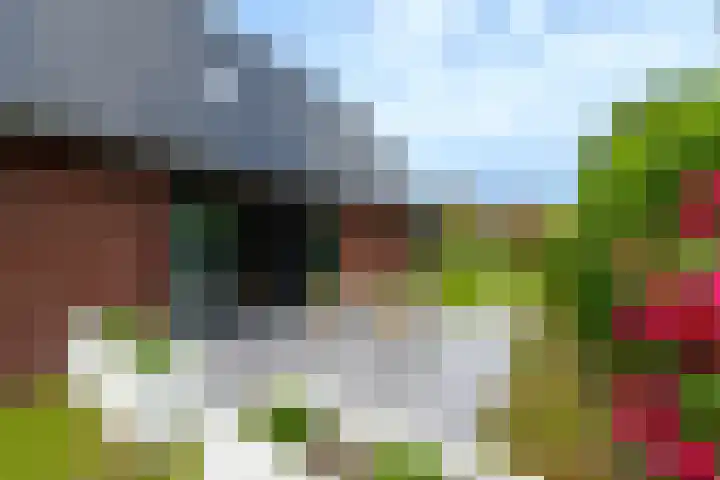 Vlechtplantsoen 7 Noordwolde thumbnail 53