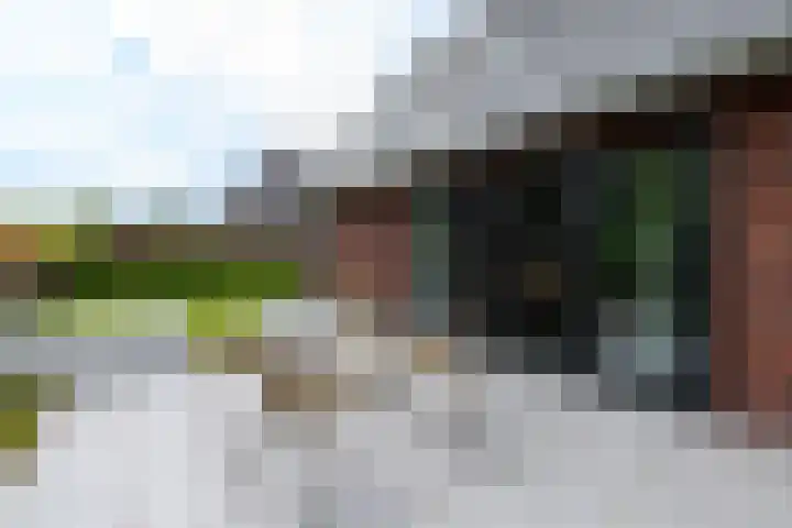 Vlechtplantsoen 7 Noordwolde thumbnail 54