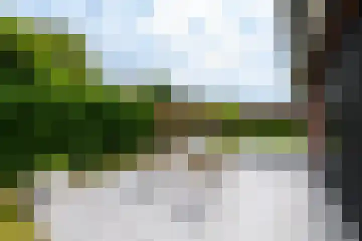 Vlechtplantsoen 7 Noordwolde thumbnail 55