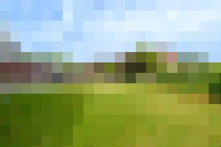 Vlechtplantsoen 7 Noordwolde thumbnail 56
