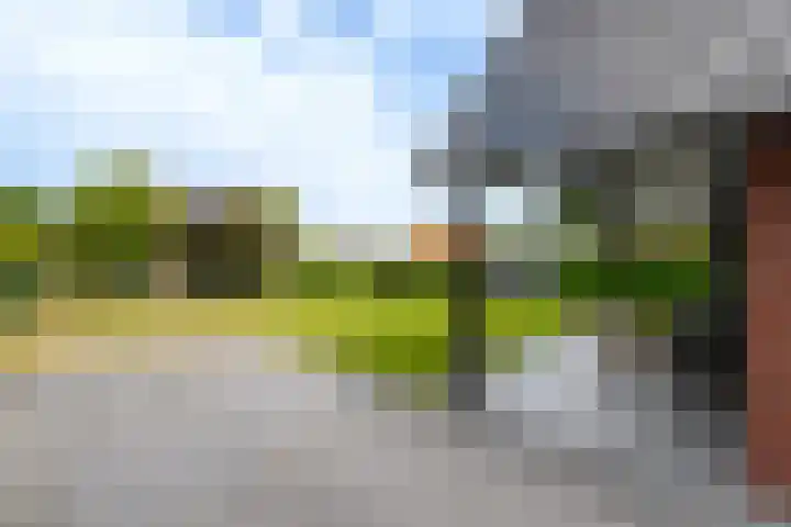 Vlechtplantsoen 7 Noordwolde thumbnail 58