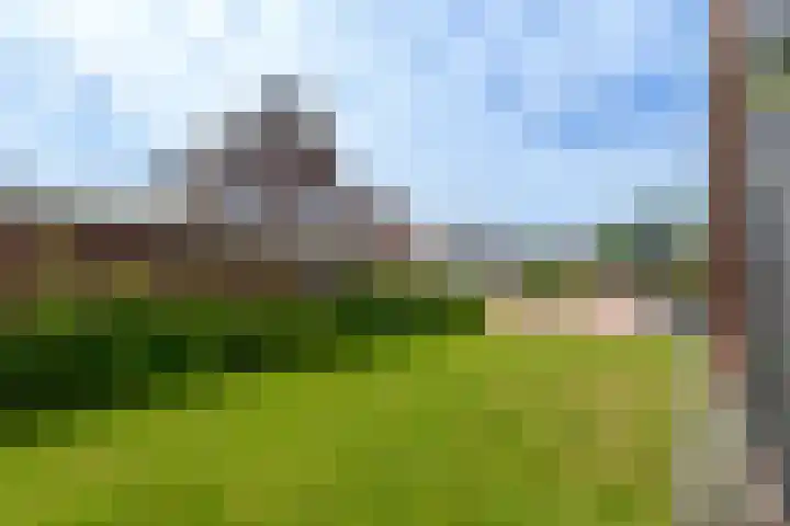 Vlechtplantsoen 7 Noordwolde thumbnail 59