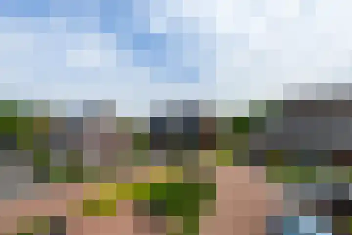 Vlechtplantsoen 7 Noordwolde thumbnail 60