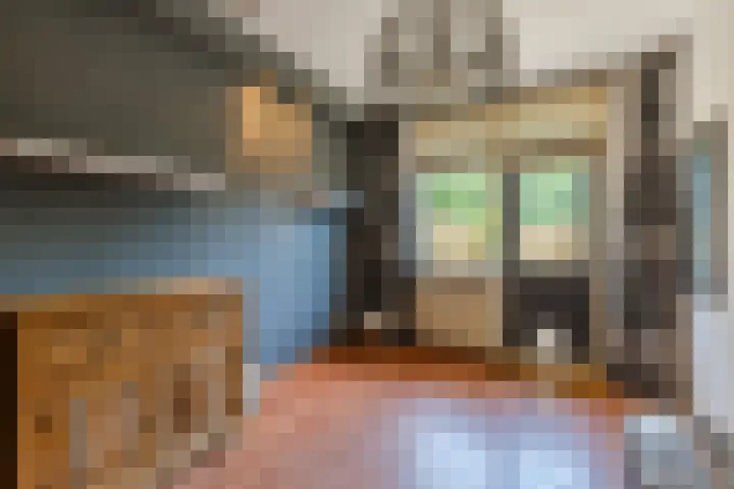 Vledderdiep 1 Zaandam thumbnail 42