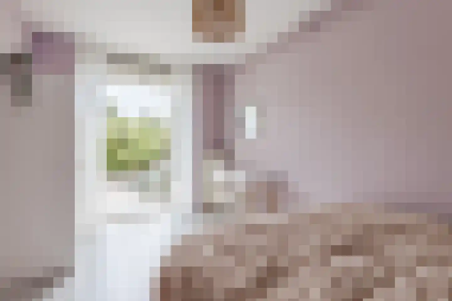 Vledderdiep 10 Zaandam thumbnail 11