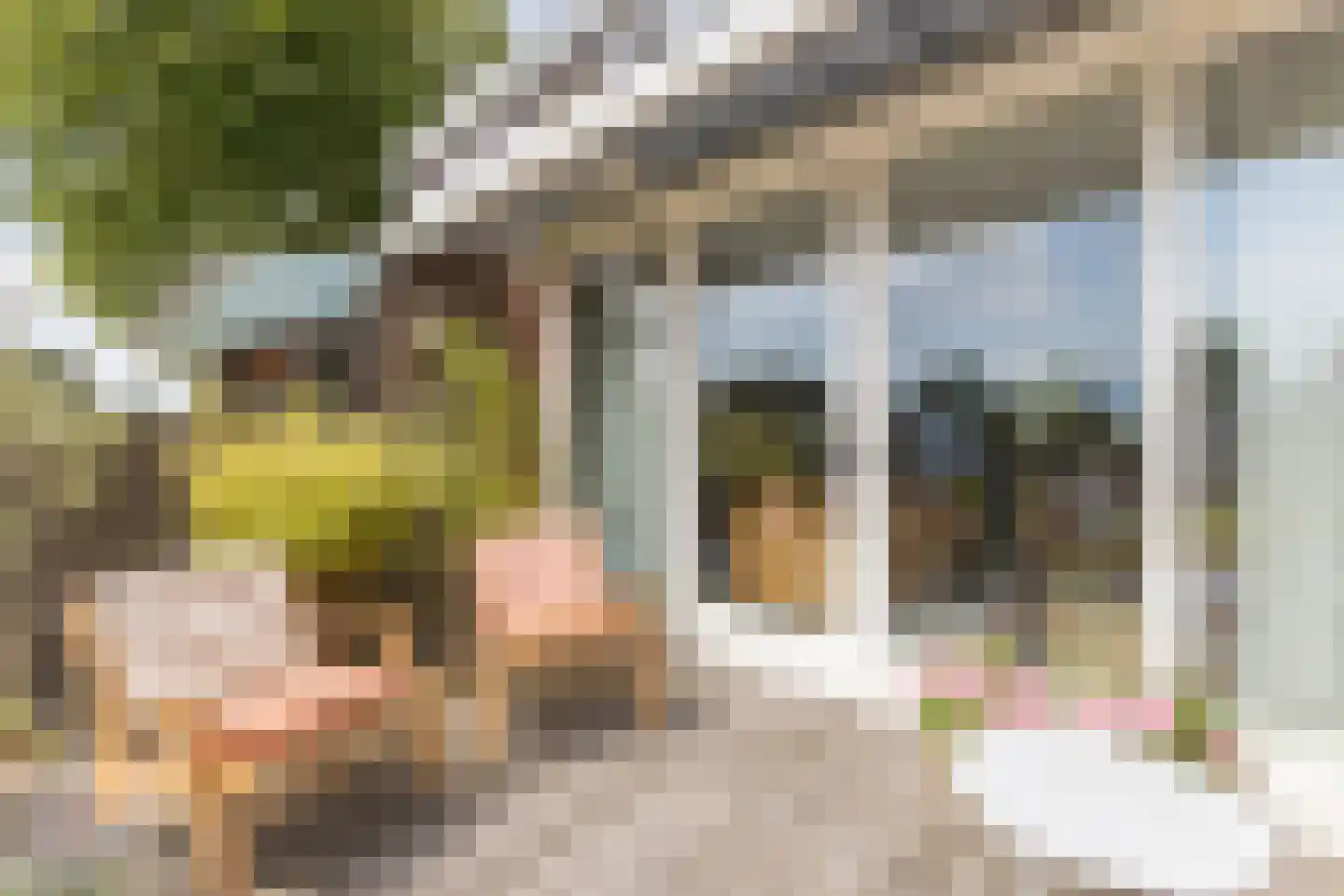 Vledderdiep 10 Zaandam thumbnail 34
