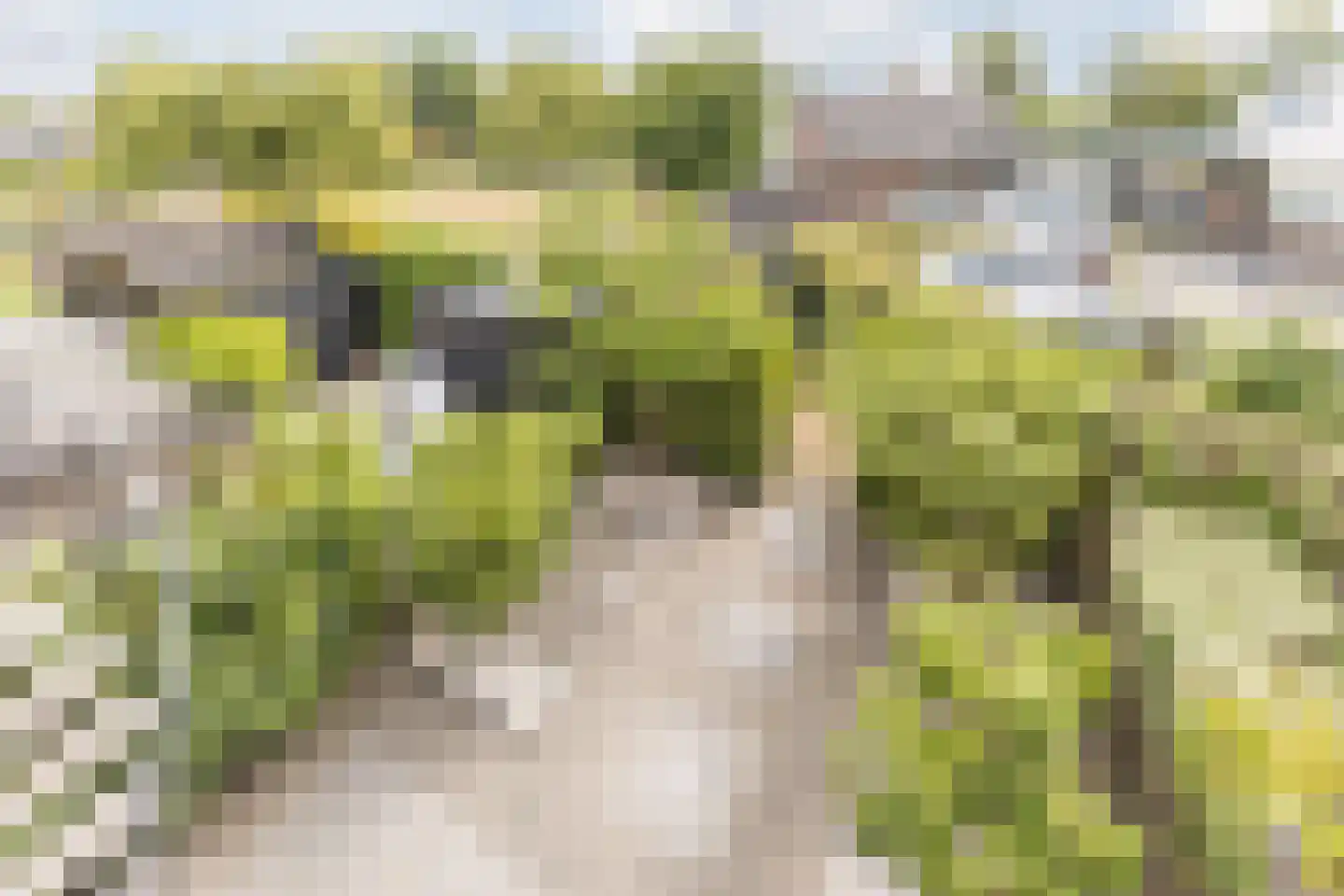 Vledderdiep 10 Zaandam thumbnail 35