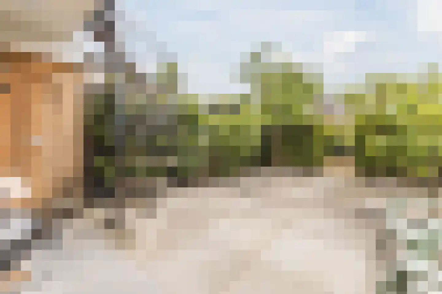 Vledderdiep 10 Zaandam thumbnail 36