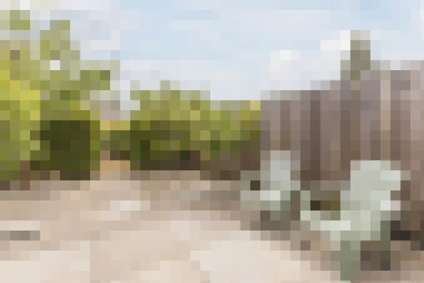 Vledderdiep 10 Zaandam thumbnail 39