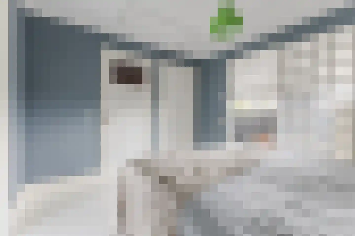 Vledderdiep 10 Zaandam thumbnail 41