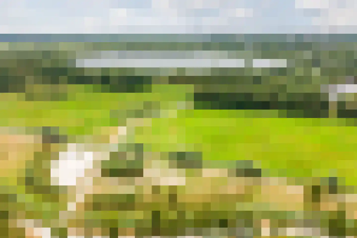 Vledderdiep 10 Zaandam thumbnail 53