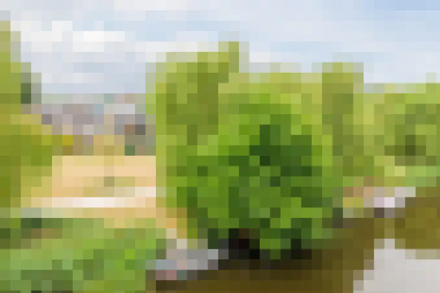 Vledderdiep 10 Zaandam thumbnail 55