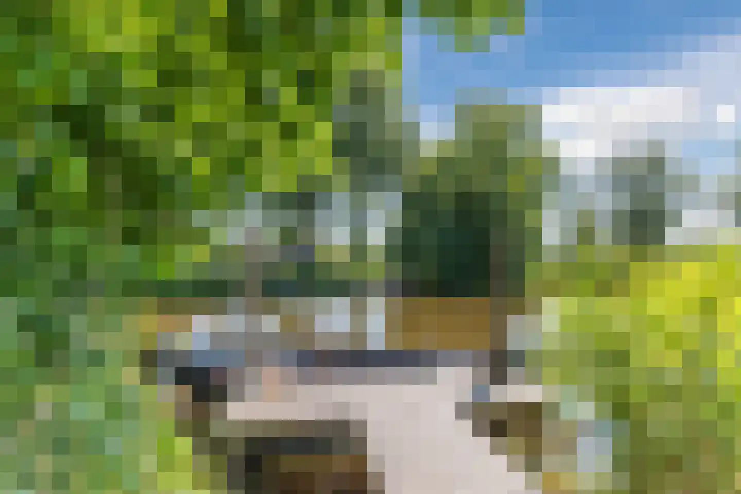 Vledderdiep 10 Zaandam thumbnail 56