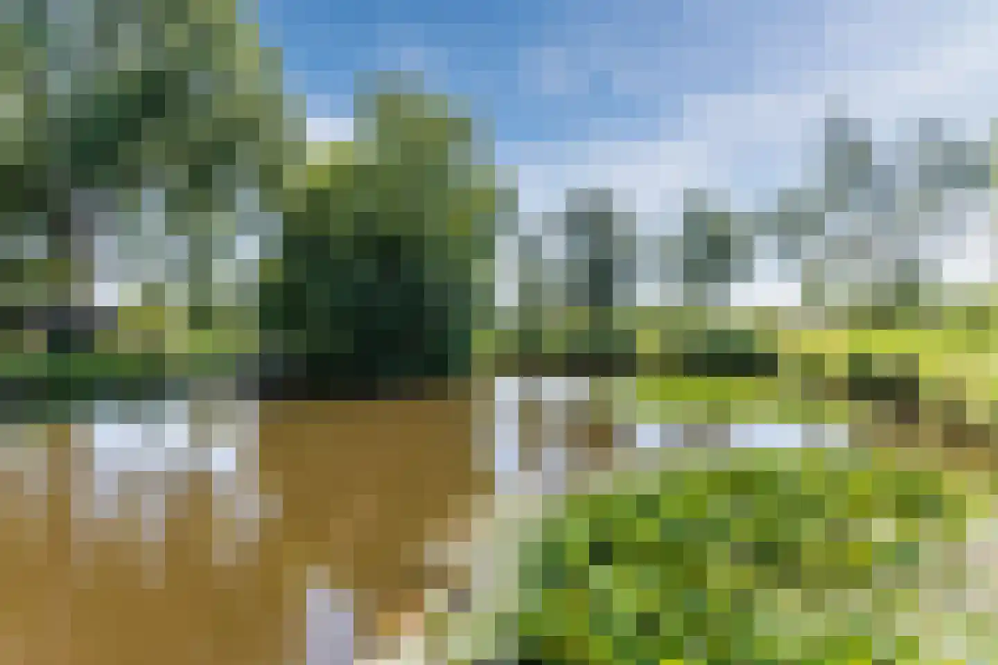 Vledderdiep 10 Zaandam thumbnail 58
