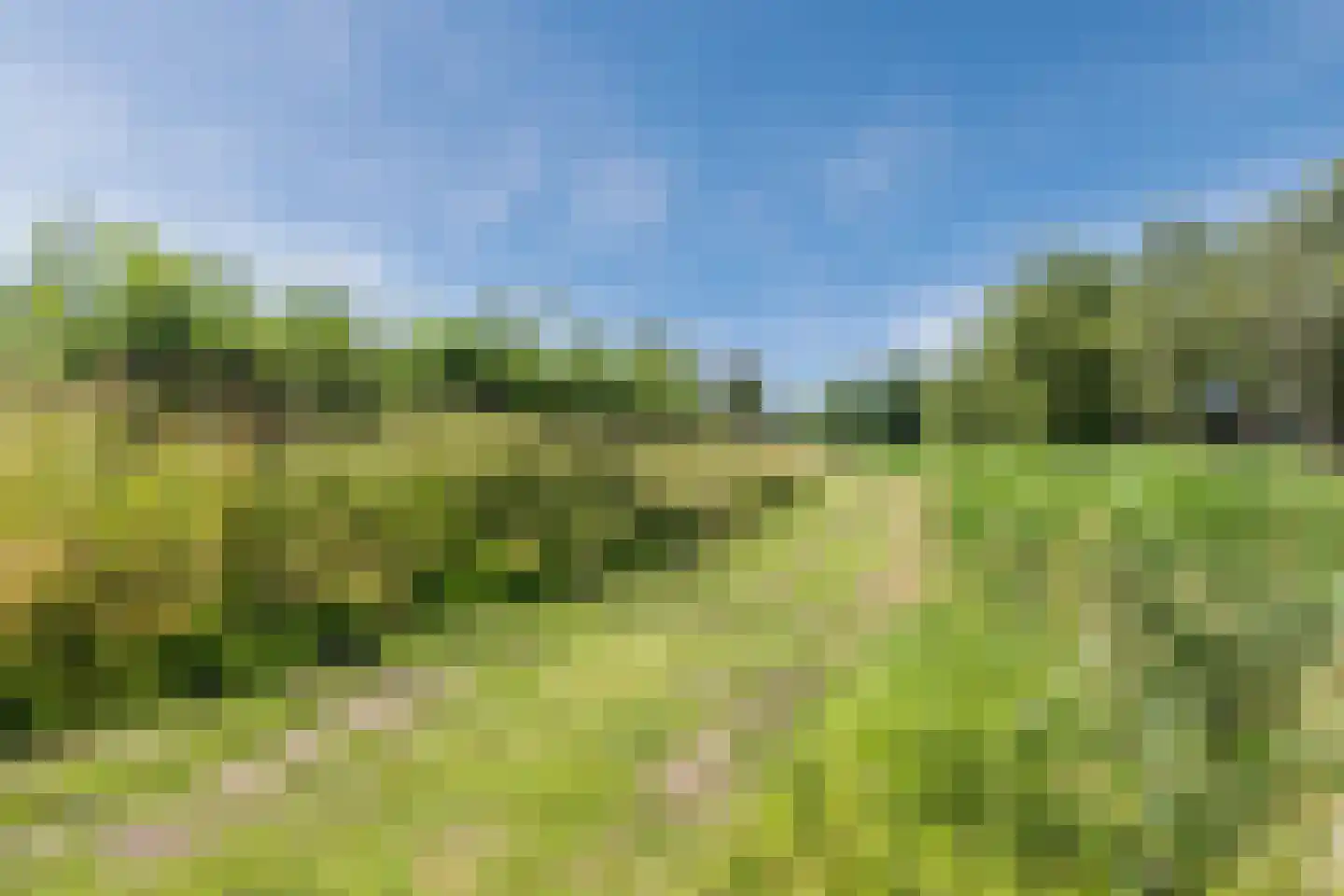 Vledderdiep 10 Zaandam thumbnail 60