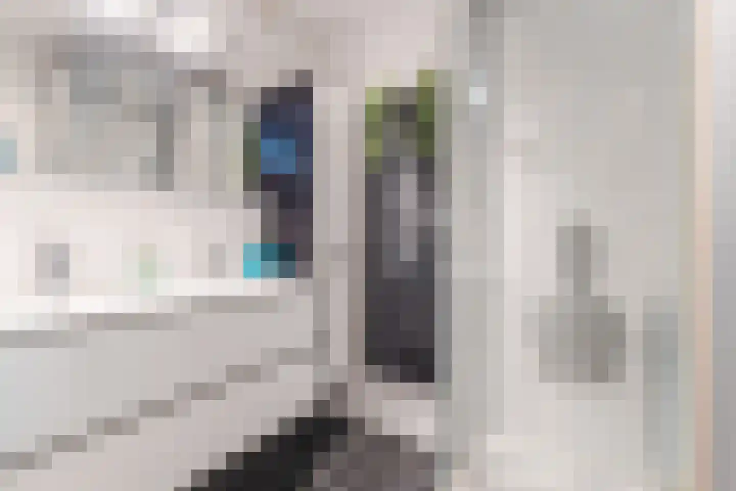 Vledderdiep 3 Zaandam thumbnail 43
