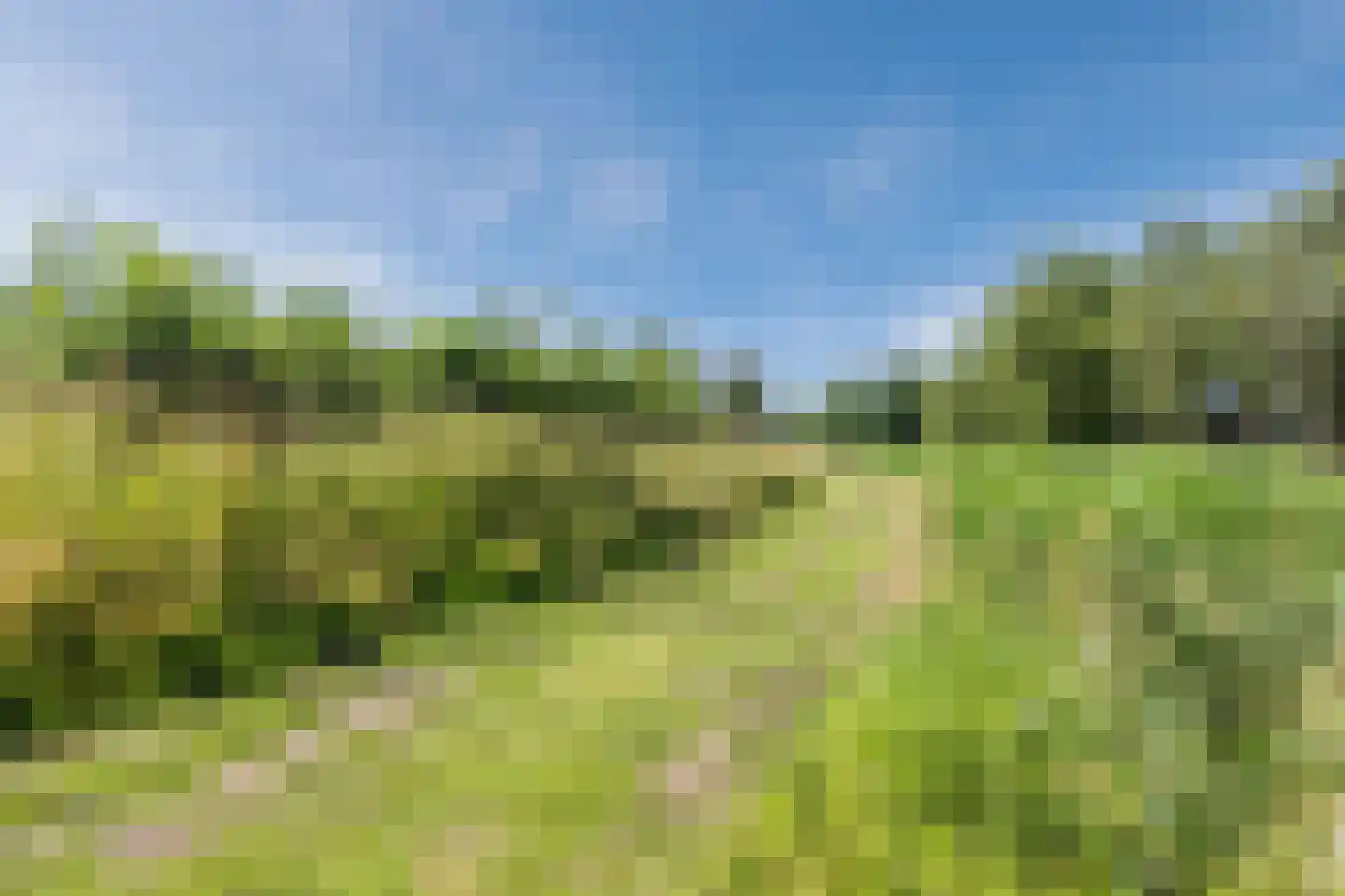 Vledderdiep 3 Zaandam thumbnail 55