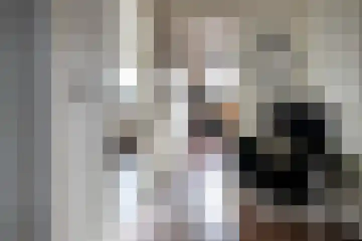 Vledderdiep 44 Nieuw-Weerdinge thumbnail 16