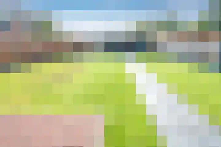 Vledderdiep 44 Nieuw-Weerdinge thumbnail 20