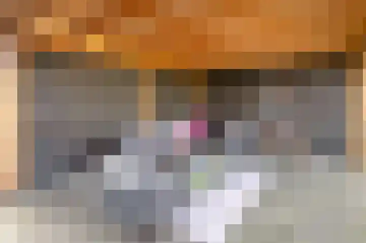 Vledderdiep 44 Nieuw-Weerdinge thumbnail 26