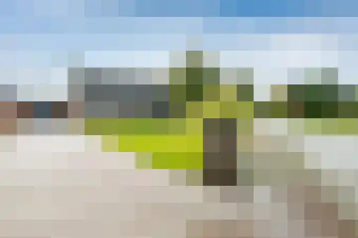 Vledderdiep 44 Nieuw-Weerdinge thumbnail 28