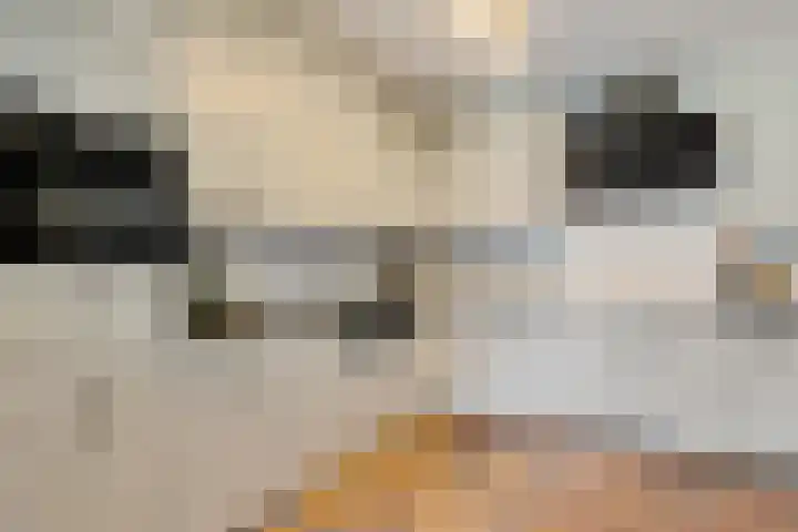 Vledderdiep 46 Nieuw-Weerdinge thumbnail 12