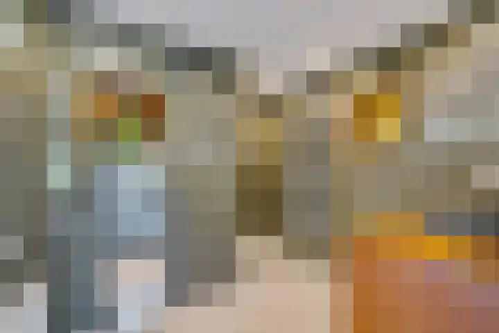 Vledderdiep 46 Nieuw-Weerdinge thumbnail 18