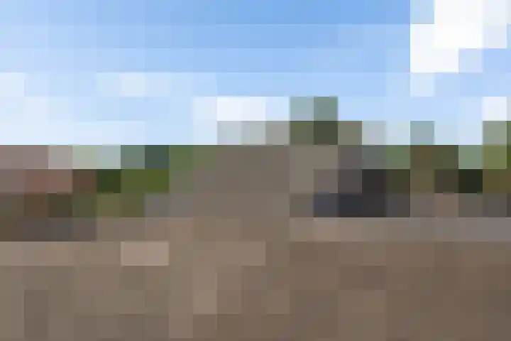 Vledderdiep 46 Nieuw-Weerdinge thumbnail 32
