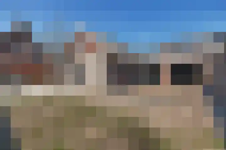 Vledderdiep 46 Nieuw-Weerdinge thumbnail 38