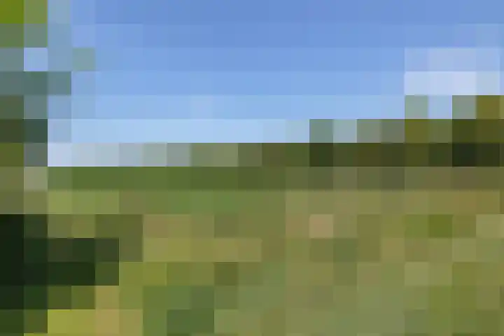Vledderdiep 46 Nieuw-Weerdinge thumbnail 39